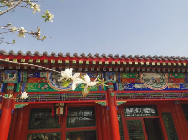 imµç¾º¡¤(Öйú)µç×Ó¾º¼¼Æ½Ì¨