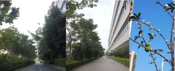 1647077008109739 首页 - 欧博ABG集团官方网站